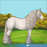 Horse Color:Smoky Creme Roan 