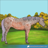 Horse Color:Painted Silver Black Ice 