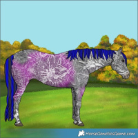 Horse Color:Painted Black Ice 