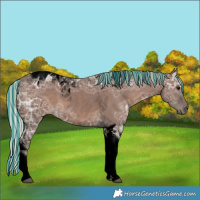 Horse Color:Void Painted Silver Black Ice Tobiano 