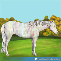 Horse Color:Plaid  Silver Amber Champagne Ice Tobiano 