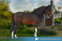 Horse Color:Brown Tobiano 