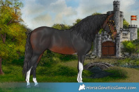 Horse Color:Brown Tobiano 