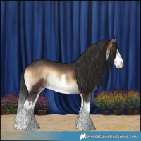 Horse Color:White Spotted Brown Onyx Splash 