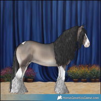 Horse Color:Blue Onyx Sabino Splash Tobiano 