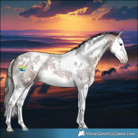 Horse Color:White Spotted Brown Roan Splash Varnish 