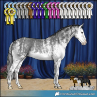 Horse Color:White Spotted Black Splash Rabicano