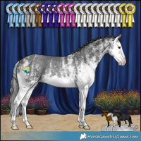 Horse Color:White Spotted Black Splash Rabicano 