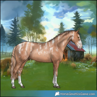 Horse Color:Liver Chestnut Pearl Rabicano  and Gold Champagne Rabicano 