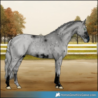 Horse Color:ERROR: UNKNOWN ANOMALY