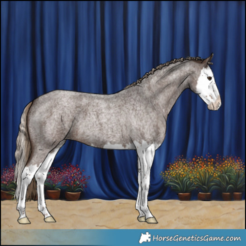 Horse Color:White Spotted Liver Red Roan Splash 