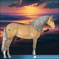 Horse Color:Silver Sable Cream Champagne