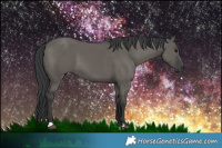 Horse Color:Grullo 