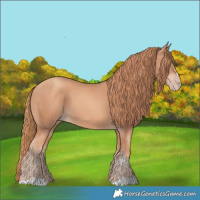Horse Color:Gold Champagne 