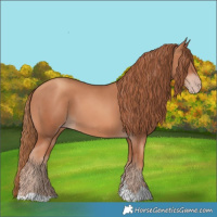 Horse Color:Gold Champagne 