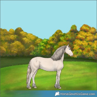 Horse Color:Perlino 