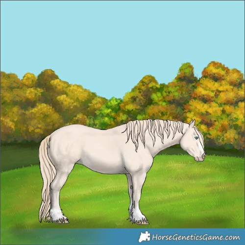 Horse Color:Perlino 