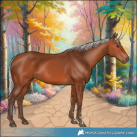 Horse Color:Silver Bay 