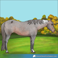 Horse Color:Bay Tobiano Varnish 