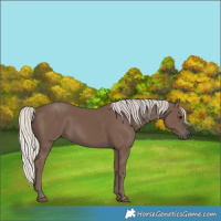 Horse Color:Silver Black 