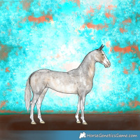 Horse Color:Silver Buckskin Roan Sabino Splash Rabicano 