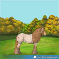 Horse Color:Red Roan