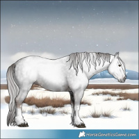 Horse Color:Gray White Spotted Liver Chestnut Tobiano 