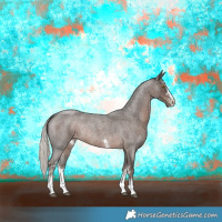 Horse Color:Silver Blue Roan Sabino Rabicano