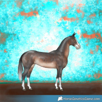 Horse Color:Brown Sabino Splash Rabicano 