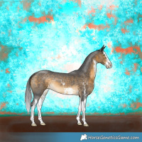 Horse Color:Buckskin Sabino Splash Rabicano 