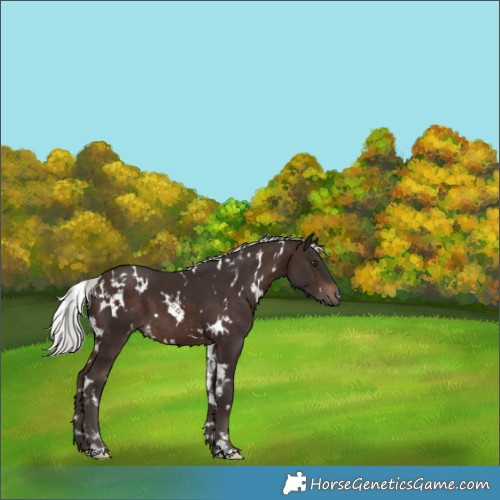 Horse Color:White Spotted Silver Brown Mushroom 