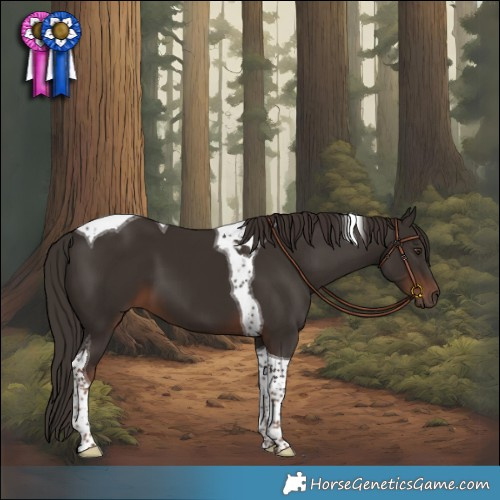 Horse Color:Liver Chestnut Tobiano 