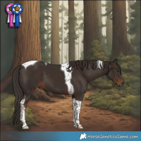 Horse Color:Liver Chestnut Tobiano 