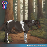 Horse Color:Liver Chestnut Tobiano 