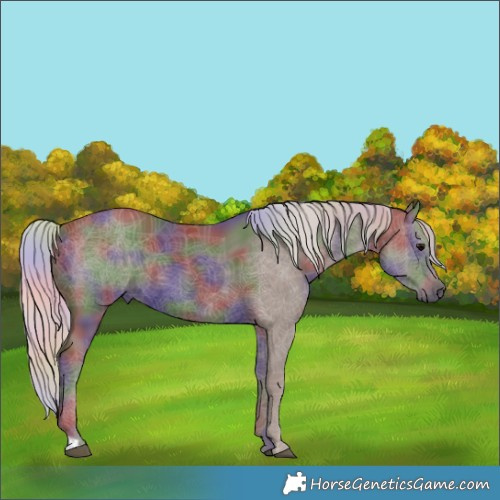Horse Color:Nacre Silver Black 