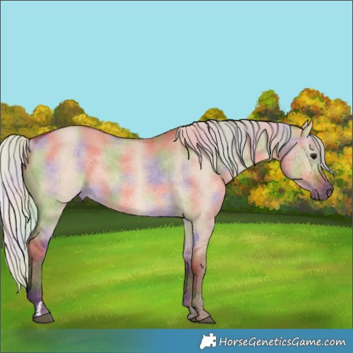 Horse Color:Nacre Silver Bay Dun Rabicano 