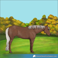 Horse Color:Silver Black 