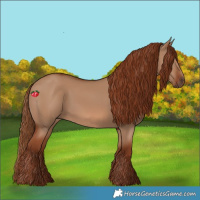 Horse Color:Red Dun 