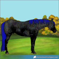Horse Color:Void Painted White Spotted Midnight Black Ice Tobiano 