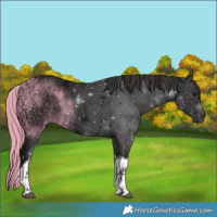 Horse Color:Smoky Black Ice Tobiano