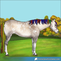 Horse Color:Painted White Spotted Brown Ice Onyx Tobiano Rabicano 