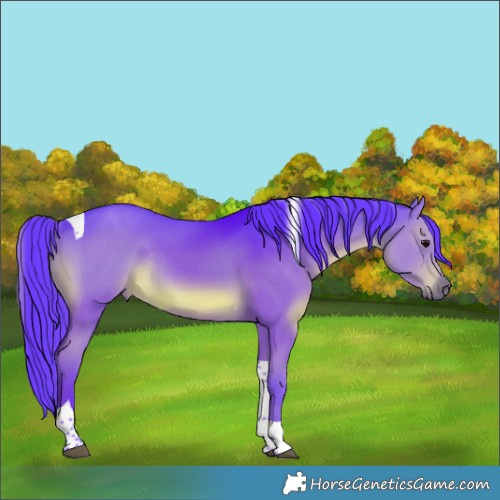 Horse Color:Watercolor Grullo Tobiano Rabicano 