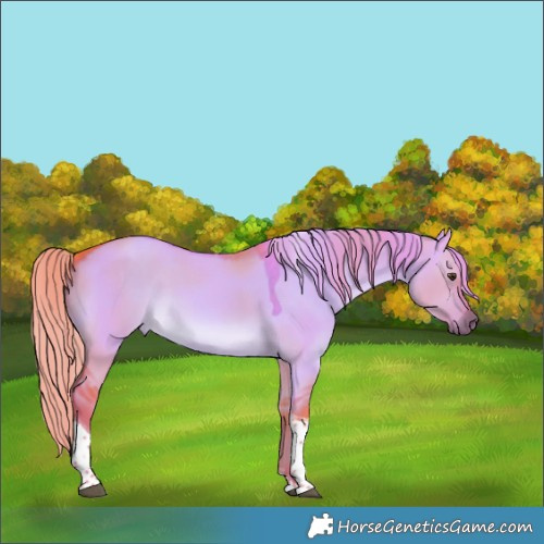 Horse Color:Watercolor Liver Red Dun Tobiano Rabicano 