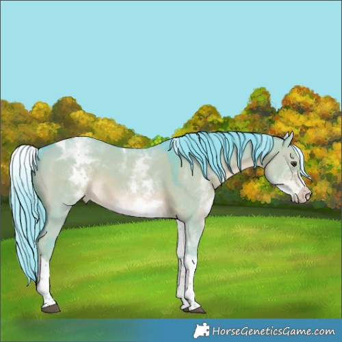 Horse Color:Watercolor White Spotted Liver Red Dun Tobiano Rabicano 