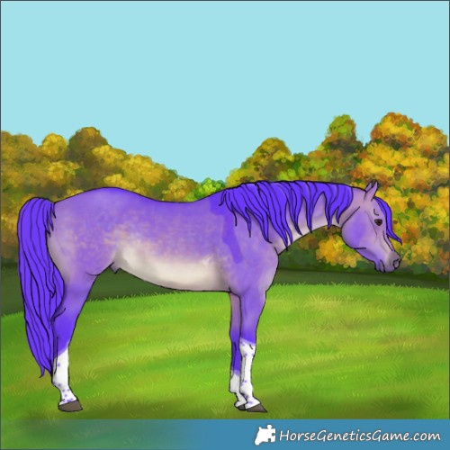 Horse Color:Watercolor Brown Dun Tobiano Rabicano 
