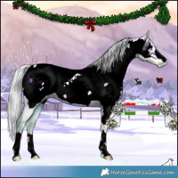Horse Color:Watercolor Silver Black Ice Near Fewspot 