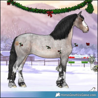 Horse Color:White Spotted Brown Roan 