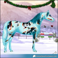Horse Color:Thunderstruck Watercolor White Spotted Silver Classic Champagne Ice Appaloosa 