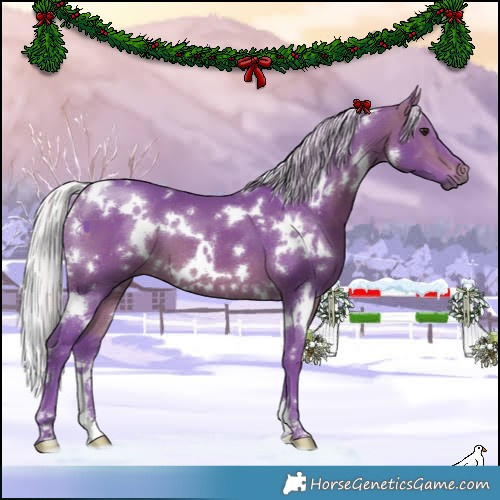 Horse Color:Watercolor White Spotted Silver Bay 