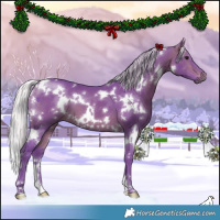 Horse Color:Watercolor White Spotted Silver Bay 